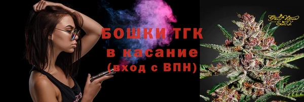 мдпв Вяземский