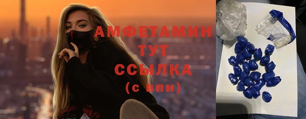 мдпв Вяземский