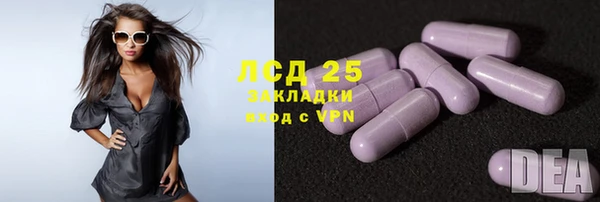 мдпв Вяземский