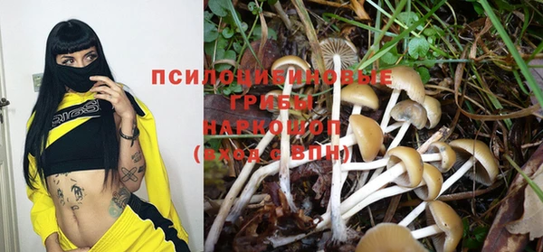 соль курить ск Вязьма