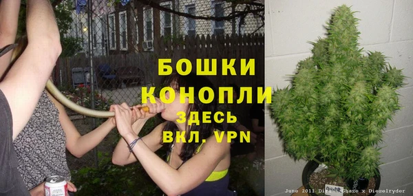 мдпв Вяземский