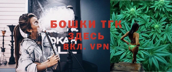 мдпв Вяземский