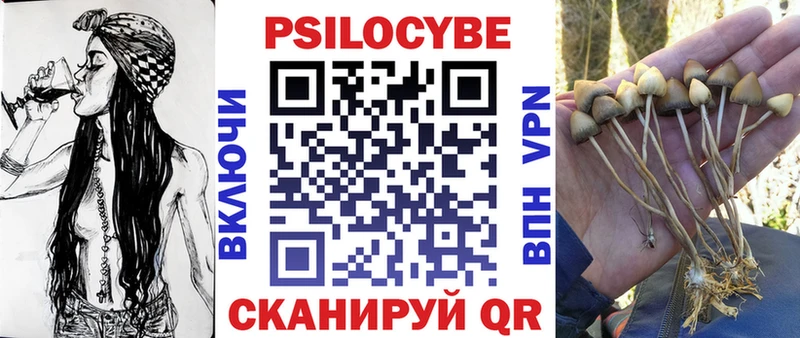 OMG зеркало  Вязники  Псилоцибиновые грибы Magic Shrooms 