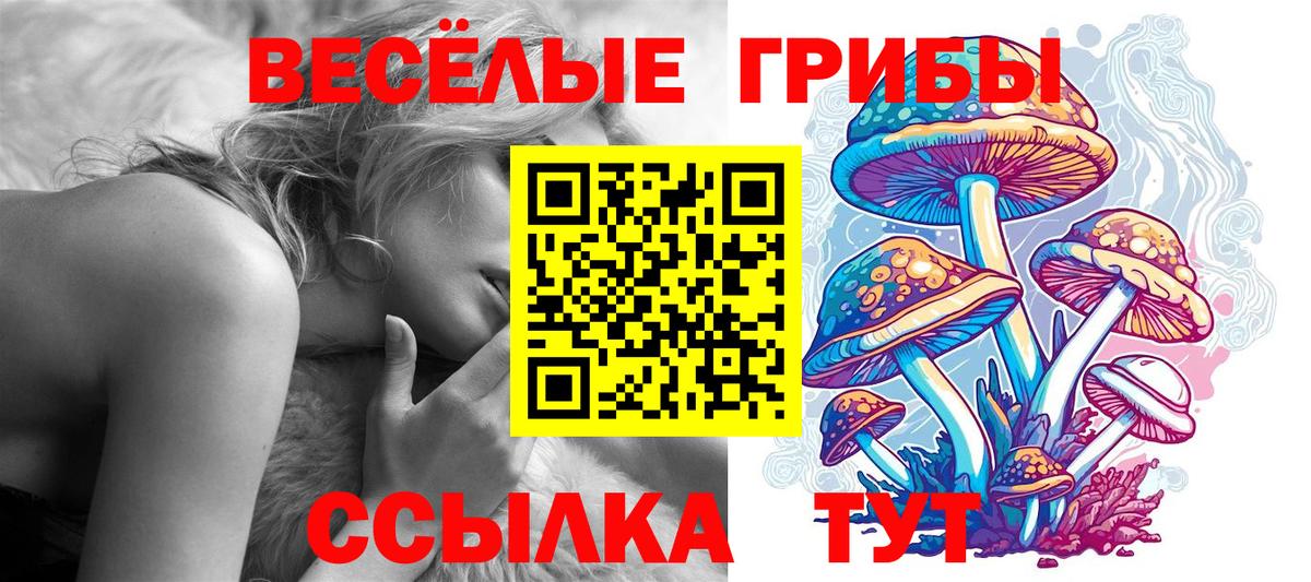 Галлюциногенные грибы прущие грибы  Галлюциногенные грибы мухоморы  Вязники  Вход с VPN 